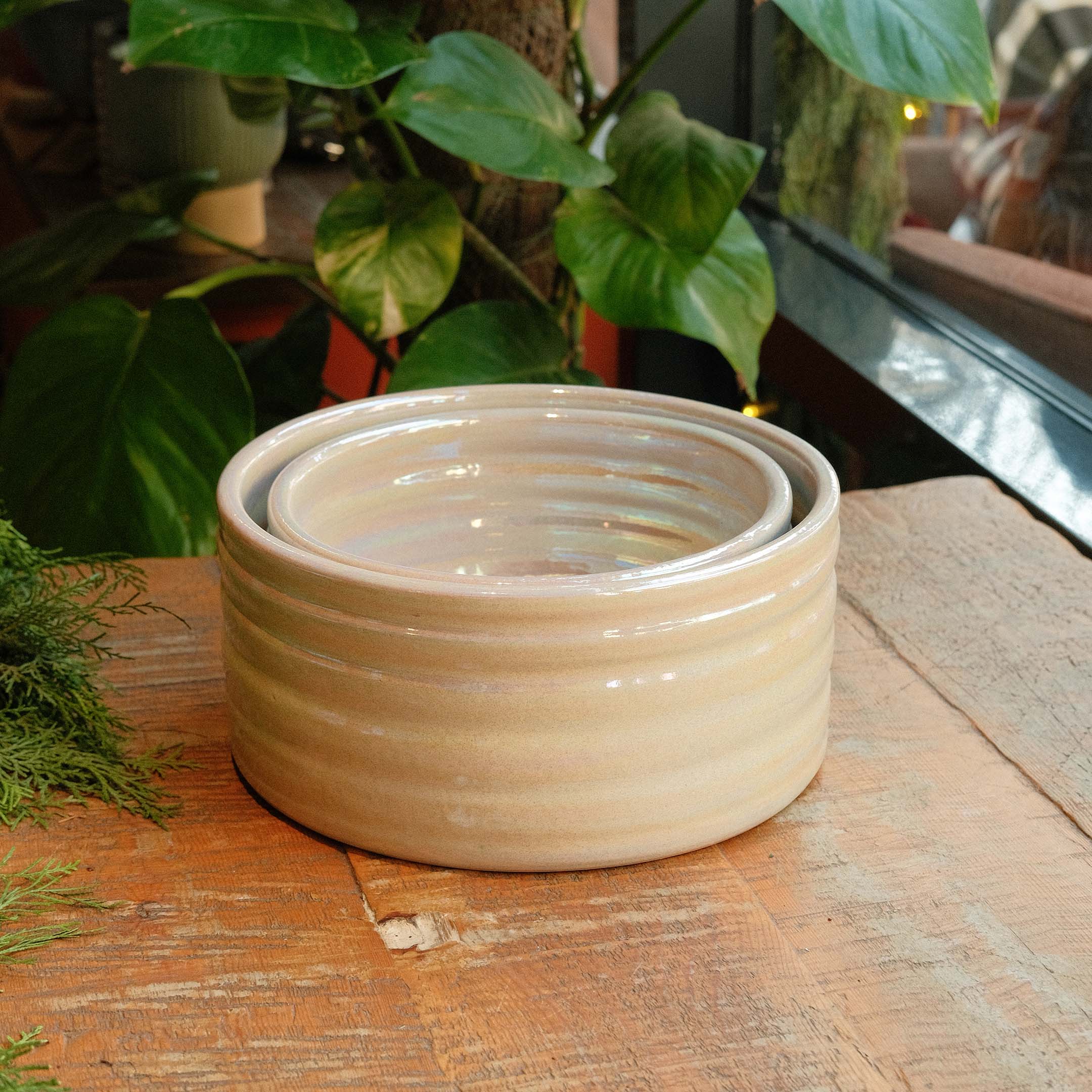 Christmas Edition Tajen Bowls Set