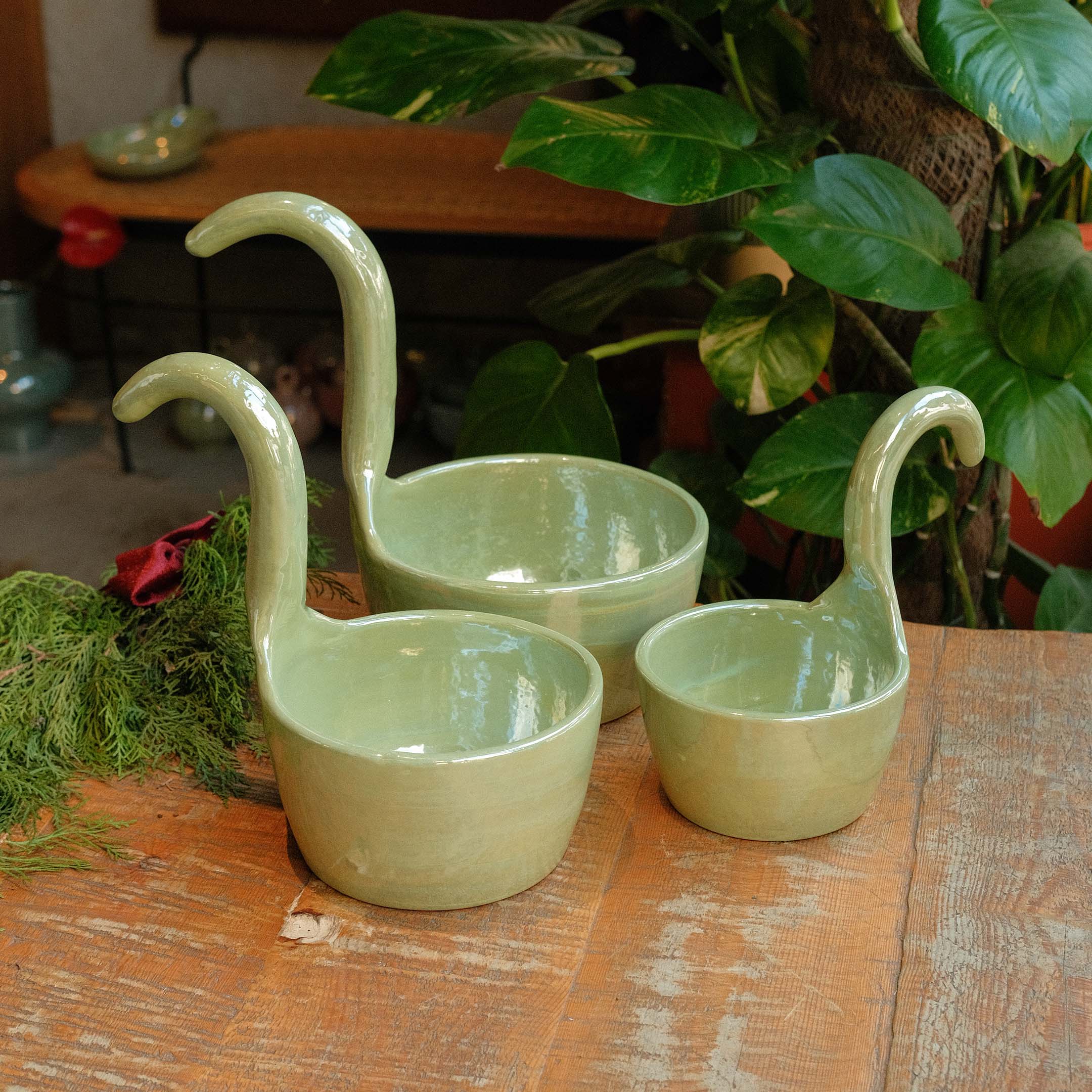 Swan bowls set