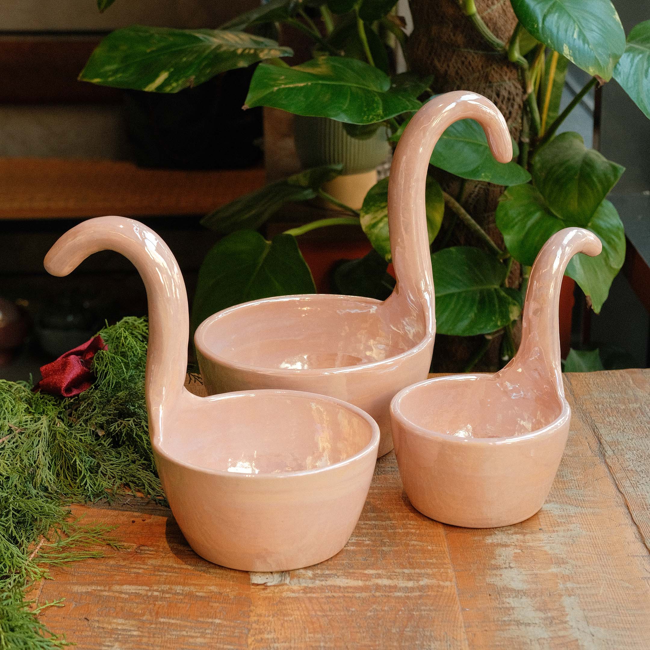 Swan bowls set